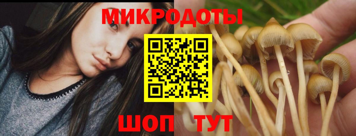 Галлюциногенные грибы Magic Shrooms Петропавловск-Камчатский